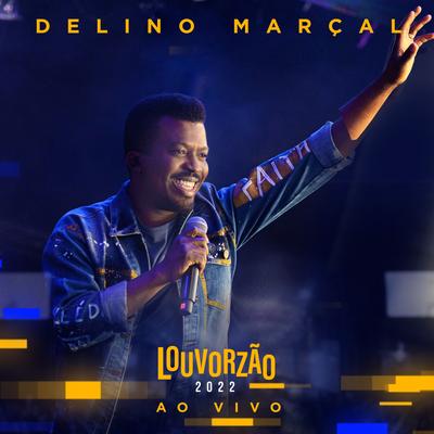 Você Não Imagina (Ao Vivo) By Delino Marçal's cover