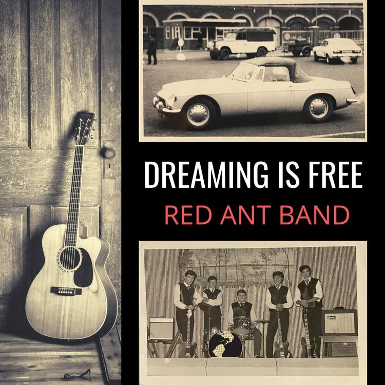 Red Ant Band's avatar image