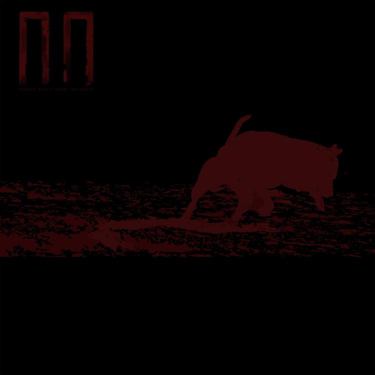 Numéro Noir's avatar image