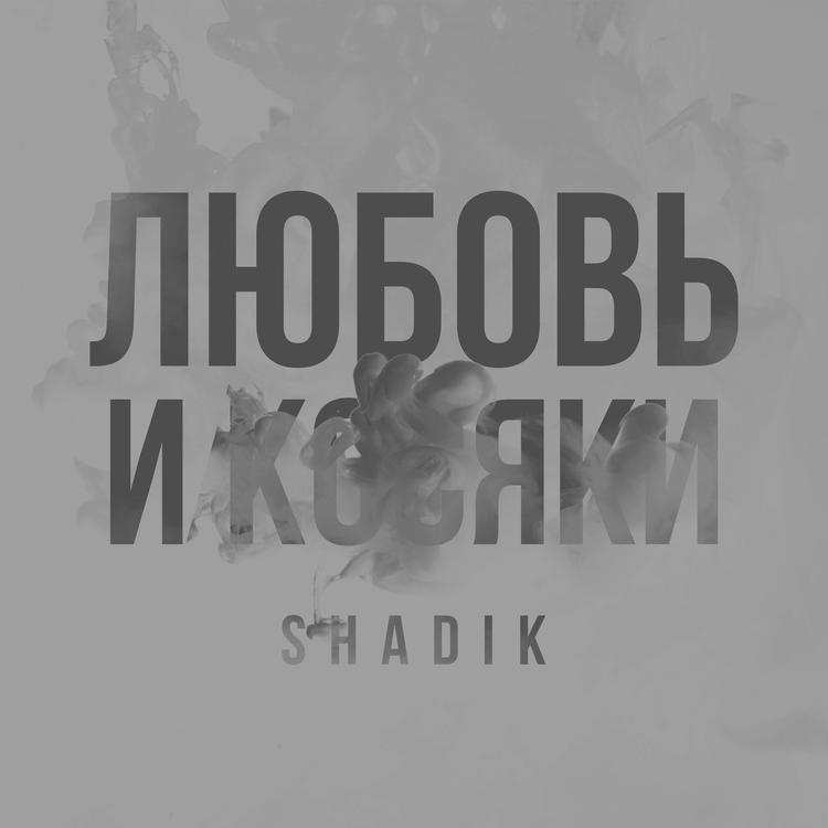 Shadik's avatar image