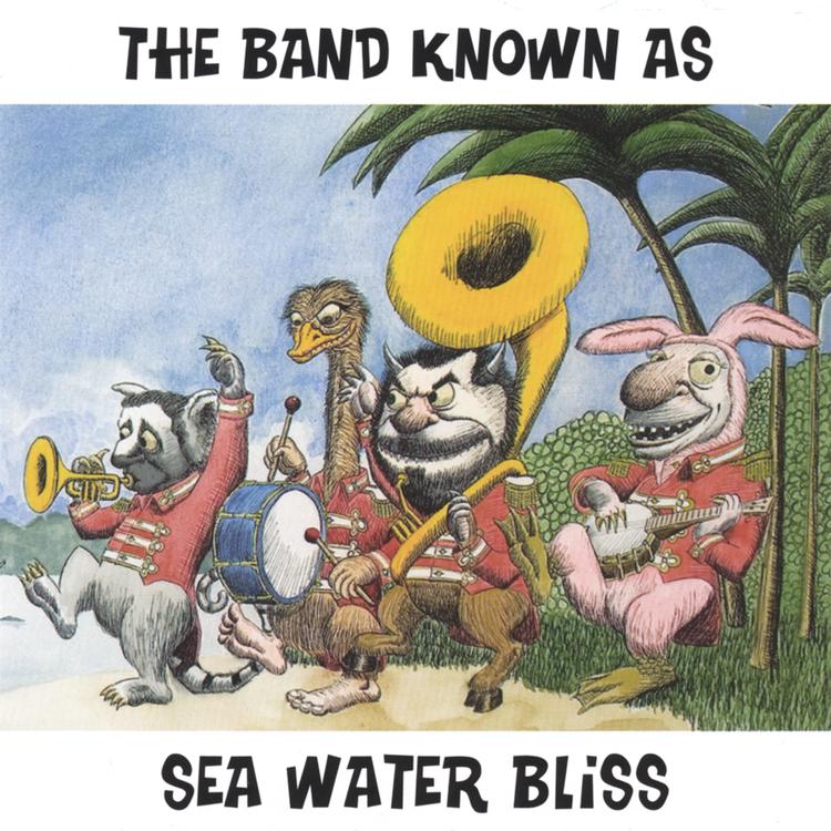 The band known as Sea Water Bliss's avatar image