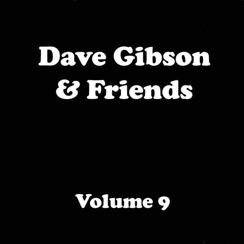 Dave Gibson & Friends, Volume 7 Official TikTok Music | album by Dave ...