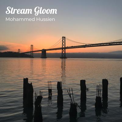 Mohammed Hussien's cover