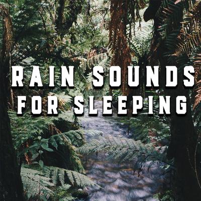 The Miracle of Rain By Sounds of Nature Caribbean Rain Factory's cover