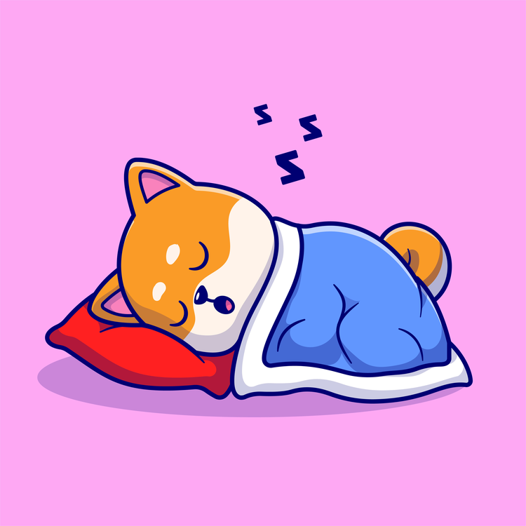 Sleepy Dog music's avatar image