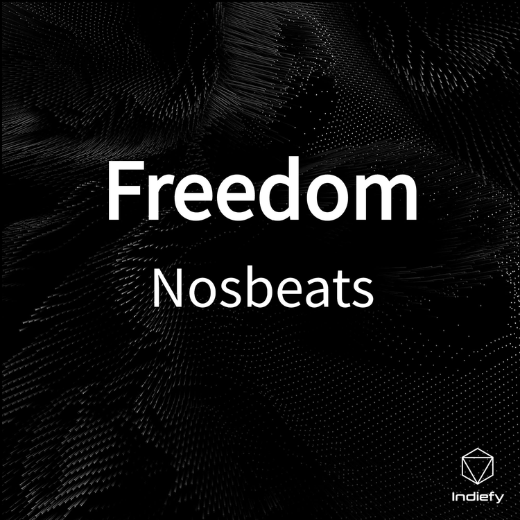 NOSBeats's avatar image