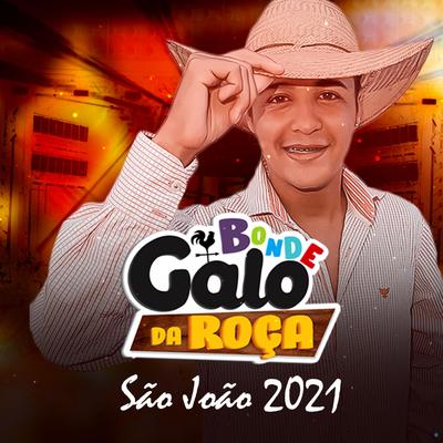 Não Da pra Namorar (feat. Mc DB) (feat. Mc DB) By Bonde Galo Da Roça, Mc DB's cover