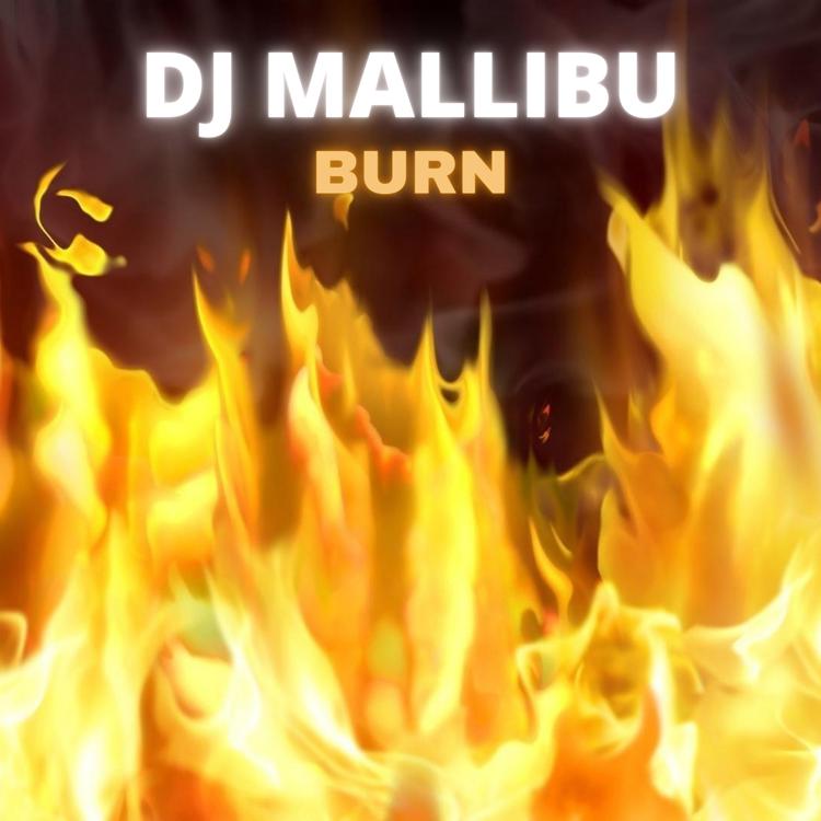 Dj mallibu's avatar image