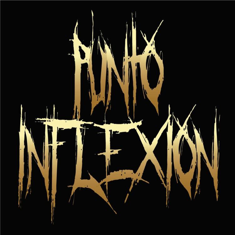 puntoinflexion's avatar image