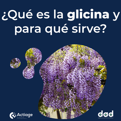 ¿Qué es la Glicina y Para Qué Sirve?'s cover