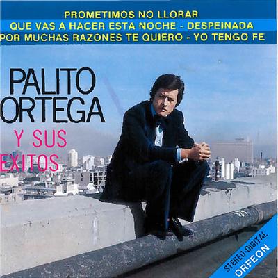 Palito Ortega y Sus Exitos's cover