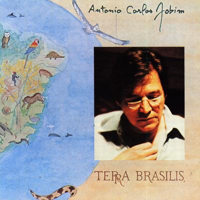 Terra Brasilis's cover