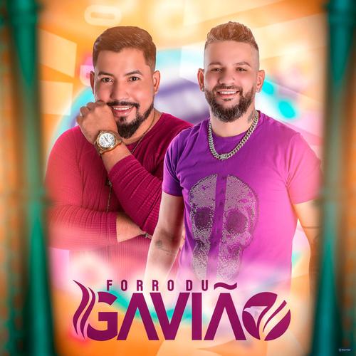 Forró du Gavião's cover