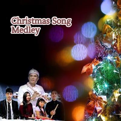 Christmas Song Medley's cover