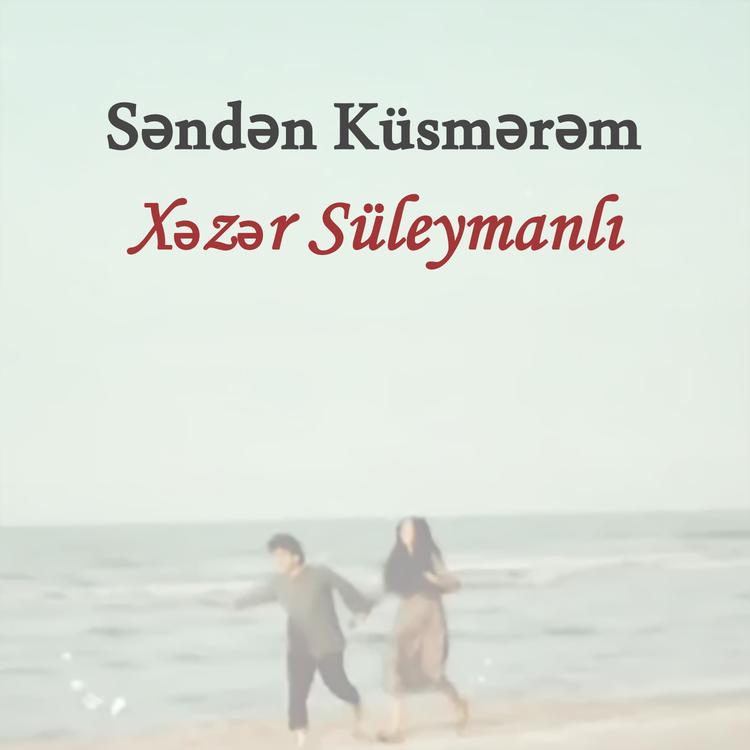 Xəzər Süleymanlı's avatar image