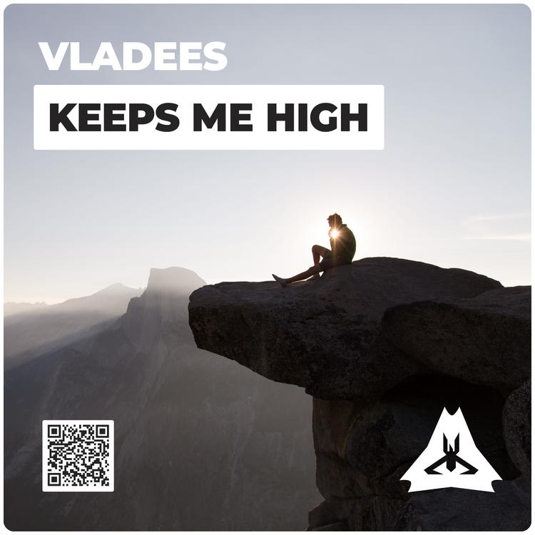 Vladees's avatar image