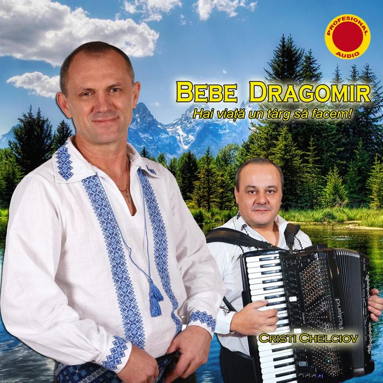 Bebe Dragomir's avatar image