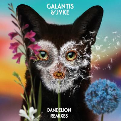 Dandelion (Pandapush Remix) By Galantis, JVKE, Pandapush's cover