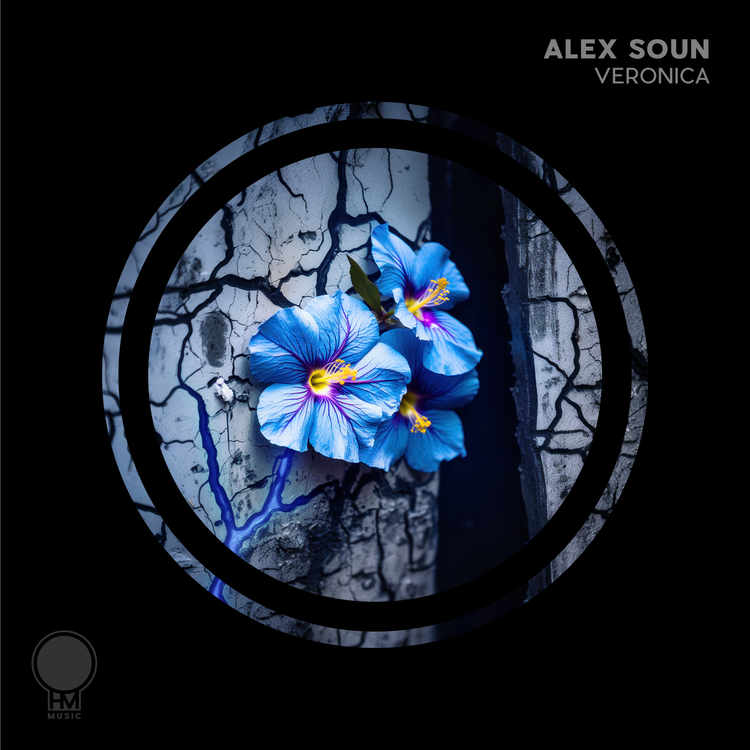 Alex Soun's avatar image