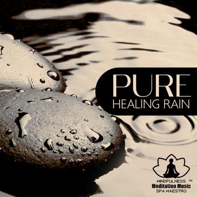 Rain Therapy Music By Healing Yoga Meditation Music Consort's cover