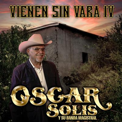 Vienen Sin Vara IV's cover