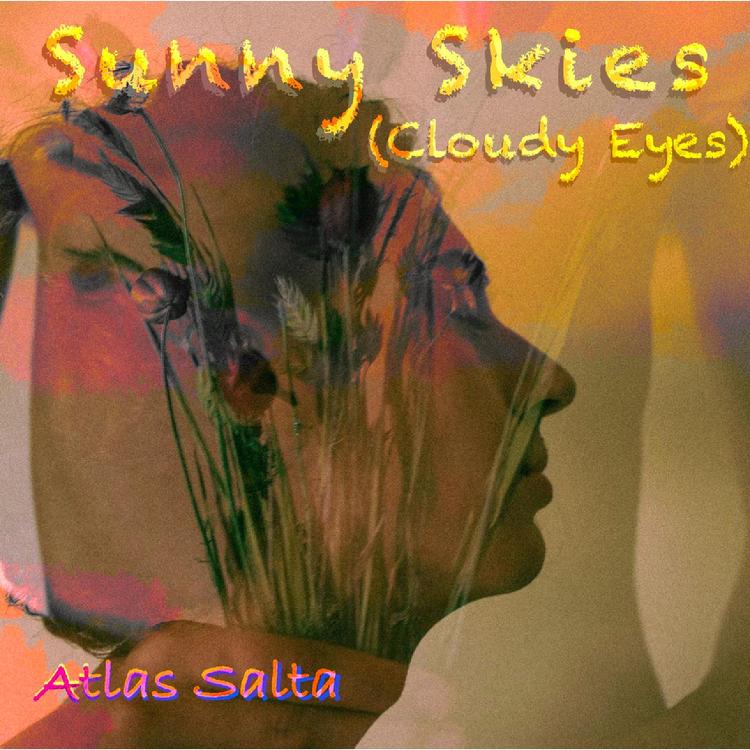 Atlas Salta's avatar image