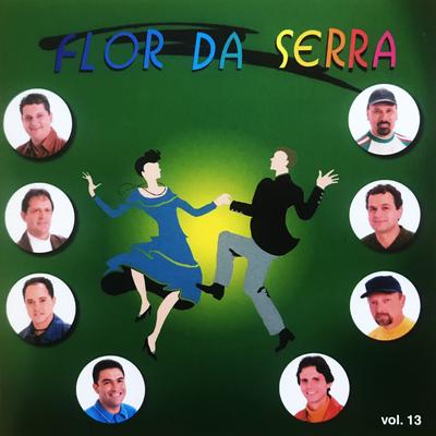 Os Reis do Arrasta Pé, Vol. 13's cover