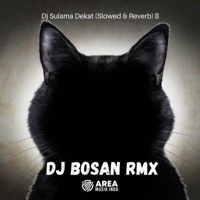 Dj Sulama Dekat (Slowed & Reverb) 🎧's cover