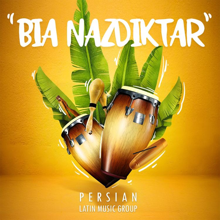 Persian Latin Music Group's avatar image