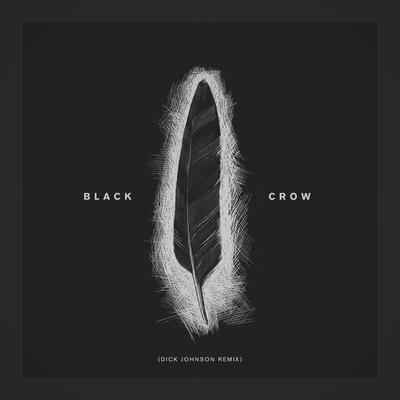 Black Crow (Dick Johnson Remix)'s cover