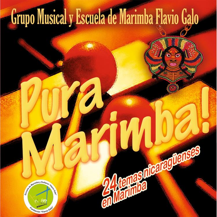 Escuela de Marimba y Guitarra Flavio Galo's avatar image