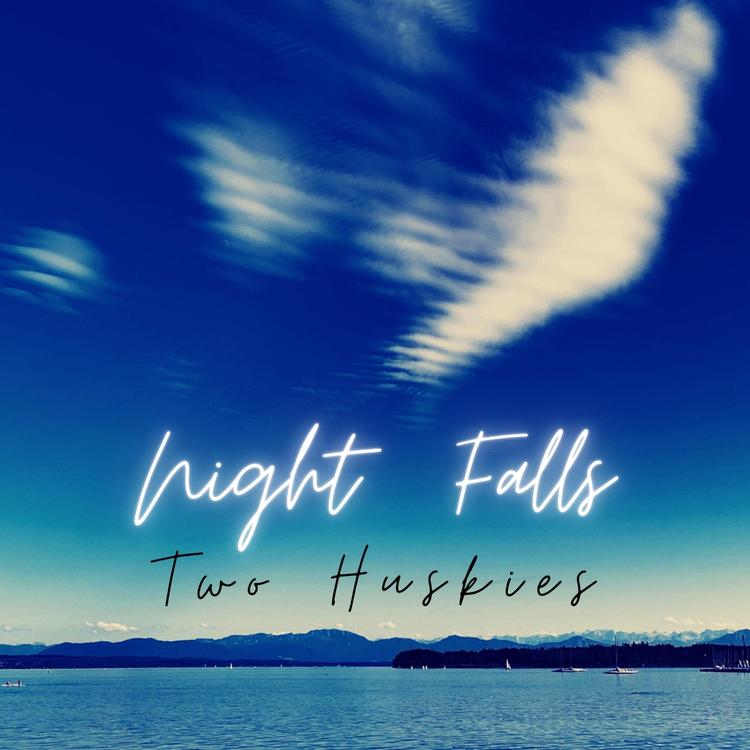 Night Falls's avatar image