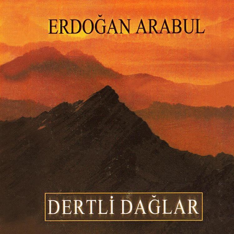 Erdoğan Arabul's avatar image