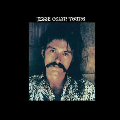 Miss Hesitation By Jesse Colin Young's cover