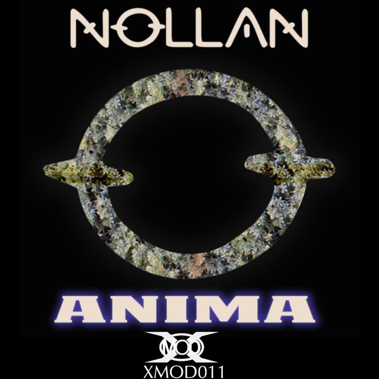 Nollan's avatar image