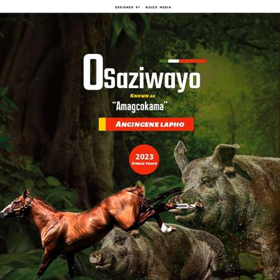 Osaziwayo's cover