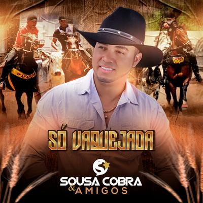 Boi Salgadinho By Sousa Cobra Oficial's cover