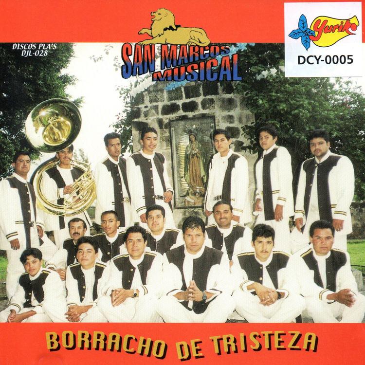 Banda San Marcos Musical's avatar image