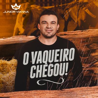 Vaqueiro Vitorioso By Junior Vianna's cover