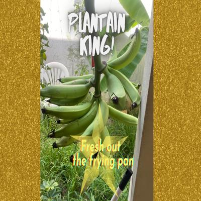 Plantain Swag's cover