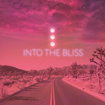 Into the Bliss's cover