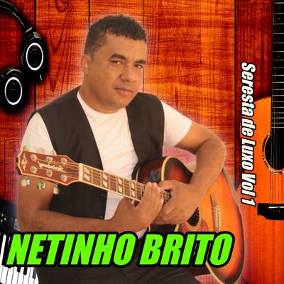 Não Sei o Que Será de Mim By Netinho Brito's cover