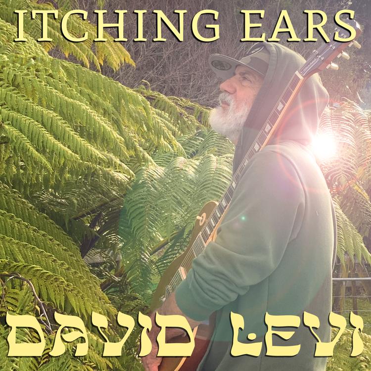 David Levi's avatar image