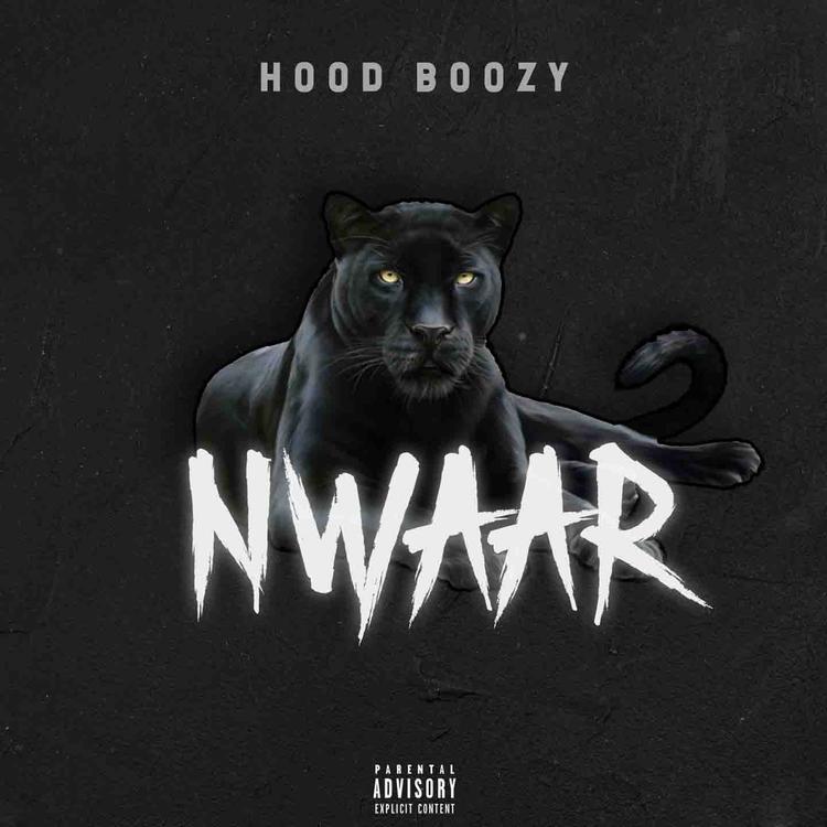 Hood Boozy's avatar image