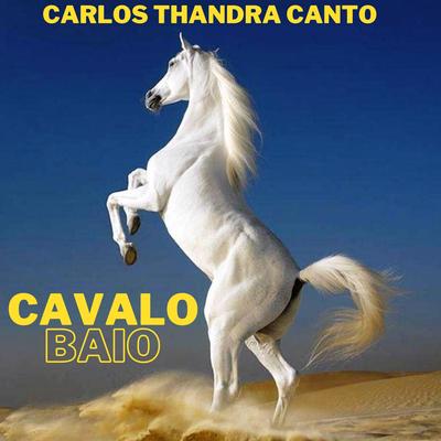 Cavalo Baio's cover