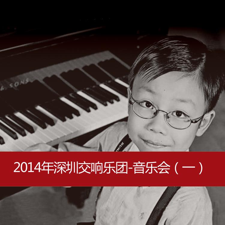 Shenzhen Symphony Orchestra's avatar image