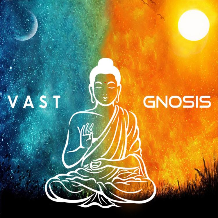 V A S T's avatar image