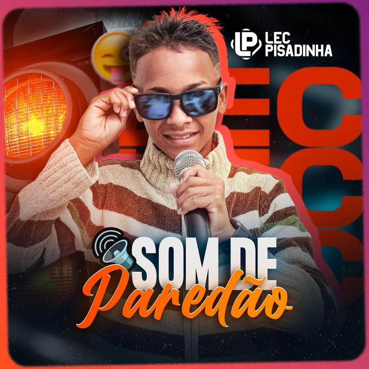 Lec Pisadinha's avatar image