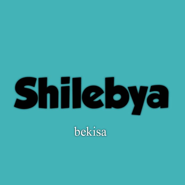 Shilebya's avatar image