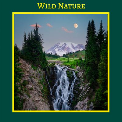Wild Nature's cover
